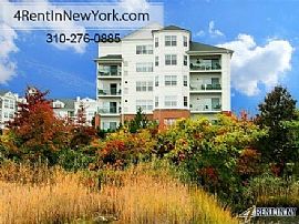 Apartment in Great Location. Pet Ok! in Stamford, CT