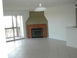 Golfer'S Delight in Clearwater, FL