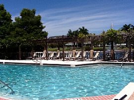 Golfer'S Delight in Clearwater, FL (Photo 9 of 10)