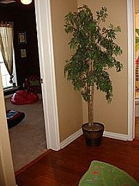 You Don?t See Rentals Come Available Like This Very Often! in Lawton, OK (Photo 7 of 7)