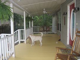 Gorgeous 3 Bed/2.5 Bath Country Home in Hammond, LA (Photo 9 of 9)