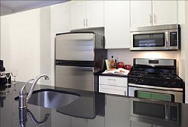 Stylish 1bedroom Unit For Rent in Chicago, IL (Photo 4 of 5)