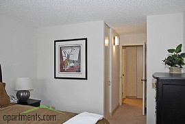 1 Bedroom Apartment with Great Views in Chicago, IL (Photo 2 of 8)