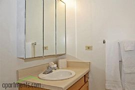 1 Bedroom Apartment with Great Views in Chicago, IL (Photo 5 of 8)