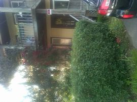 3 Bedroom, Aug 1, Pine Hills Neighborhood in Albany, NY (Photo 3 of 4)