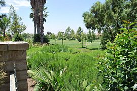 Sierra Lakes Golf Home Prime Location 5 Bedroom 3 Bath Culdesac in Fontana, CA (Photo 11 of 12)