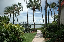 1/1 Lakeside Paradiseatile Throughout Grnd Flr  in Seminole, FL