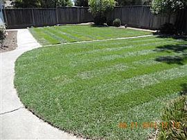  4587 Thornhaven Way, San Jose 4bedroom 2 Bathroom in San Jose, CA (Photo 8 of 9)