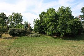 Private Owned 3 Bedroom Home in Holly, MI (Photo 10 of 11)