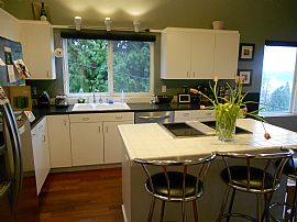 3 Bedroom Johns Landing Near Ohsu in Portland, OR (Photo 4 of 12)