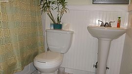 House in Move in Condition in Middletown. Pet Ok! in Middletown, CT (Photo 5 of 9)