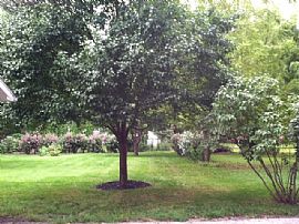 2 Bedroom Duplex in Quiet Setting in Fairview Heights, IL (Photo 11 of 11)