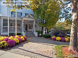 1 Bedroom Apartment - Located in Downtown Stamford in Stamford, CT (Photo 8 of 9)