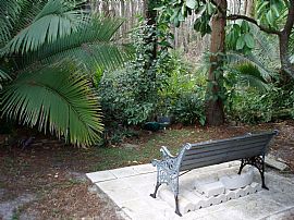 2 Br/ba Home Available November 1, 2013 in New Port Richey, FL (Photo 3 of 5)