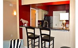 Beautifully Updated Condo in Carrollton, TX (Photo 7 of 12)