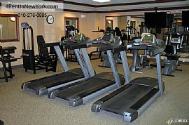 Apartment For Rent in Stamford For 1,852-2,135/mo. in Stamford, CT (Photo 5 of 9)