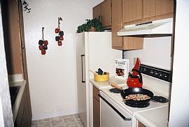 Rillito Village Apartments - Luxury Living in Tucson, AZ (Photo 2 of 8)