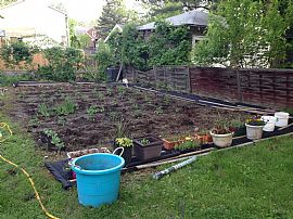 Beautiful Rental - Close to Law, Med, Sage, St. Rose For Jan 1 in Albany, NY (Photo 8 of 11)