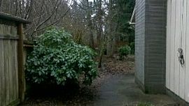 Loaded with Acreage Best Schools Lake and More in Olympia, WA (Photo 2 of 3)