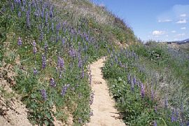 Beautiful 1br Furnished Condo  in Santa Clarita, CA (Photo 11 of 11)