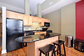 165 N Canal St Unit 1431 Huge 2 Bd, 2 Bath + Bonus Rm! in Chicago, IL (Photo 4 of 10)