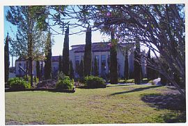 Rose Garden in Dallas, TX