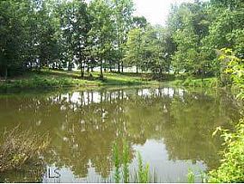 Historic Farmhouse on 8 Acres in Archdale, NC (Photo 7 of 7)