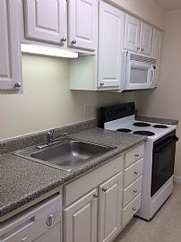 1br/1ba Apartment Available Mid-July in Baltimore, MD (Photo 2 of 4)