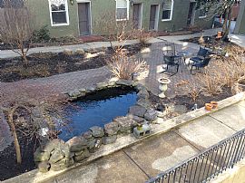 1br/1ba Apartment Available Mid-July in Baltimore, MD (Photo 4 of 4)