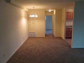 100% Renovated 1 Bedroom Apartment Homes in Baltimore, MD (Photo 9 of 12)