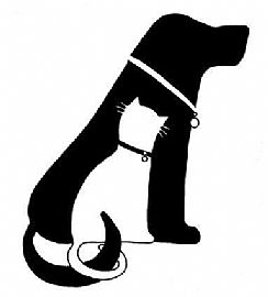 Limited Time! 1 and 2 Bedrooms Available! in Baltimore, MD (Photo 8 of 10)