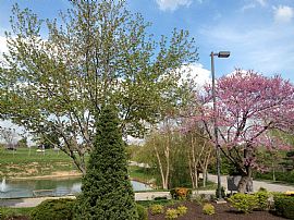 Beautiful Apartment Homes with Private Lake! in Kansas City, MO (Photo 5 of 5)