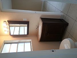 Newly Renovated Old Carrollwood/lake Carrol Area Home 4 Rent in Tampa, FL (Photo 5 of 9)