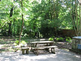 Kings Forest (kings Grant ) Ranch 4beds (va Beach)  in Virginia Beach, VA (Photo 5 of 12)