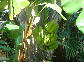 Furnished Townhome in Winter Springs, Florida in Winter Springs, FL (Photo 8 of 8)