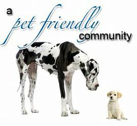 Split Floor Plan! in Tucson, AZ (Photo 11 of 12)