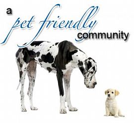  $299.00 Mi! Don'T Pass This Up, We Are Running Out of Homes!! in Tucson, AZ (Photo 5 of 12)