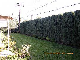 Well Maintained 4 Bedroom 2 Bath House in Placentia, CA (Photo 3 of 3)