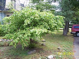 Beautiful 3 Bedroom, 1.5 Bath Home in The Village of Bellaire in Bellaire, MI (Photo 7 of 9)