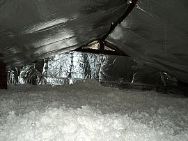 Stetson Students Lookout!  in Deland, FL (Photo 2 of 9)