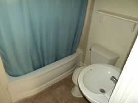 Stetson Students Lookout!  in Deland, FL (Photo 4 of 9)