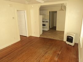 Stetson Students Lookout!  in Deland, FL (Photo 5 of 9)