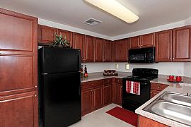 Only 1x1 Left= Move Into This Beautiful Home with Only $199! in Tucson, AZ (Photo 4 of 12)