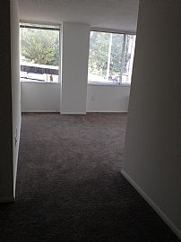 Stunning and Bright Remodeled Apt in University One in Baltimore, MD (Photo 10 of 11)