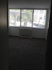 Stunning and Bright Remodeled Apt in University One in Baltimore, MD (Photo 5 of 11)