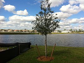 New Construction Ranch House in Bonita Springs, FL (Photo 4 of 4)