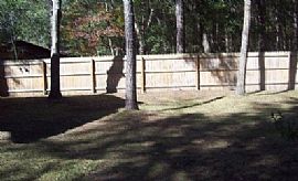 This Home Has a Newly Renovated Kitchen with Stainless Steel in Gainesville, FL (Photo 7 of 7)