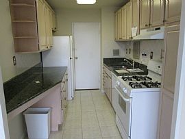 Available December 1st. Hi_rise 1 Bedroom Apartment.  in Alexandria, VA (Photo 3 of 9)