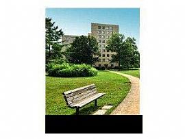 Available December 1st. Hi_rise 1 Bedroom Apartment.  in Alexandria, VA (Photo 5 of 9)