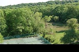 Available December 1st. Hi_rise 1 Bedroom Apartment.  in Alexandria, VA (Photo 7 of 9)